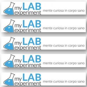 MY LAB EXPERIMENT